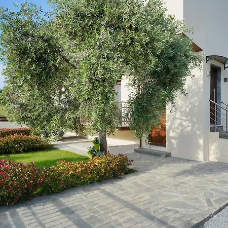 Maria Dina 2 * 波托什